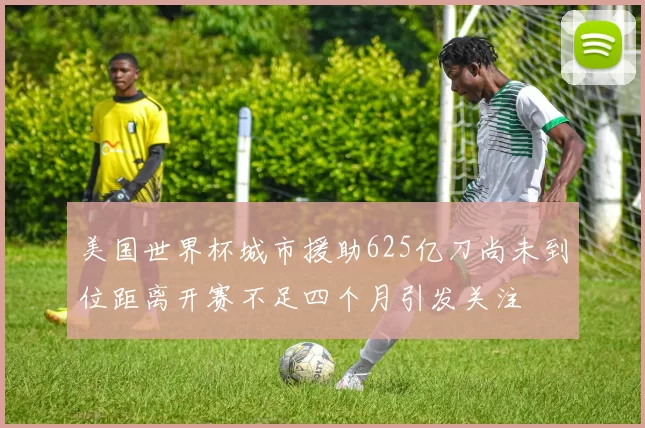 美国世界杯城市援助625亿刀尚未到位距离开赛不足四个月引发关注