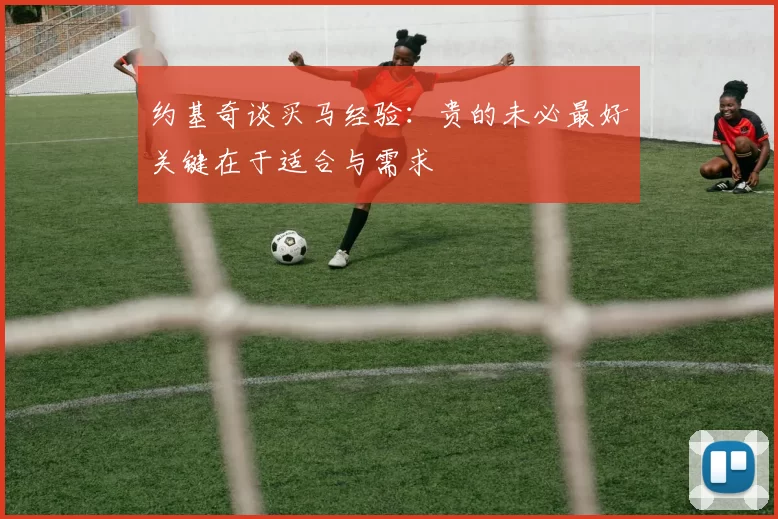 约基奇谈买马经验：贵的未必最好关键在于适合与需求